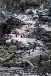 Similar image 11287617