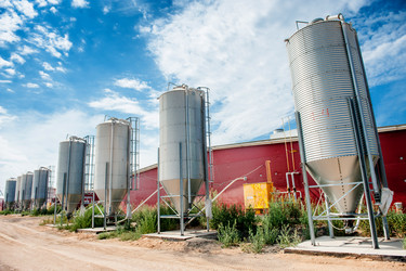 Similar image 11136228