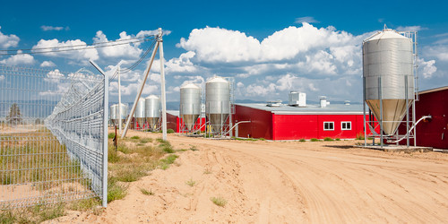 Similar image 11136229