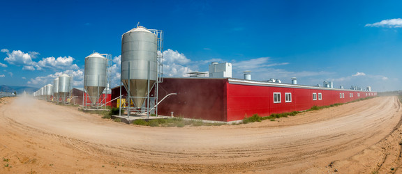 Similar image 11136230