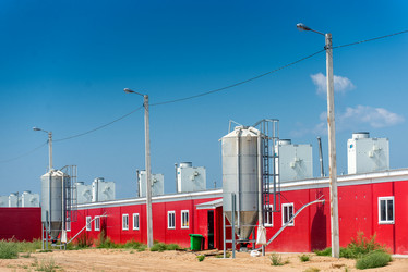 Similar image 11136231