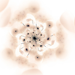 Similar image 11046711