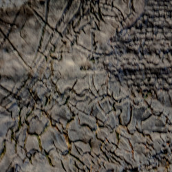 Similar image 11046772