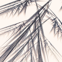 Similar image 11046825