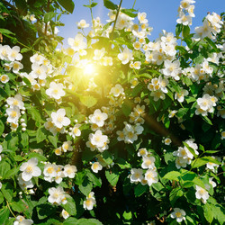 Similar image 10964637