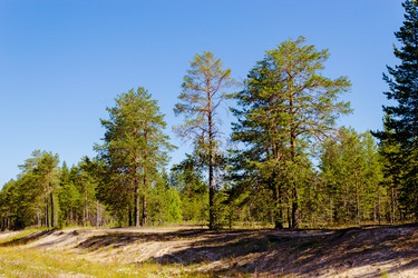 Similar image 10962152