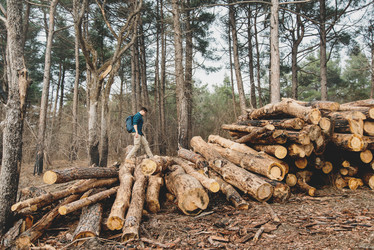 Similar image 11280047