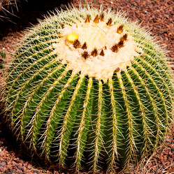 Similar image 10962170