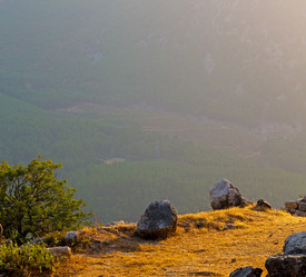 Similar image 10964039