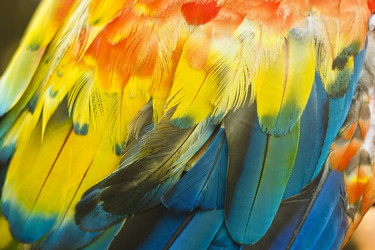 Similar image 11280612