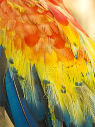 Similar image 11280631