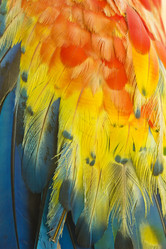 Similar image 11280632