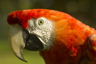 Similar image 11280689