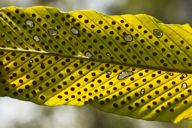 Similar image 11280690