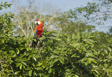 Similar image 11280692