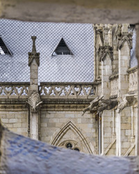 Similar image 10962368