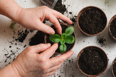 Similar image 10962330