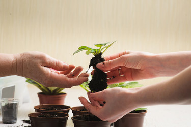 Similar image 10962333