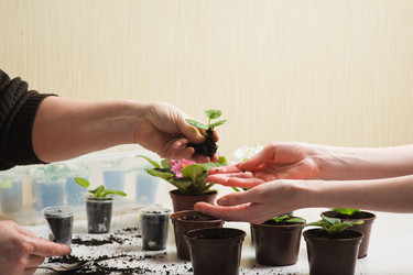 Similar image 10962335