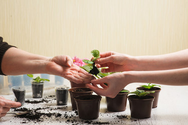 Similar image 10962336