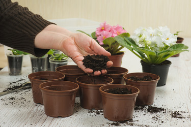 Similar image 10962338