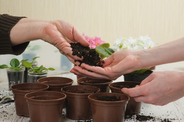 Similar image 10962339