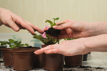 Similar image 10962340