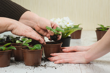 Similar image 10962343