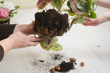 Similar image 10962345