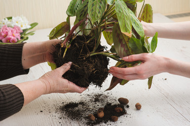 Similar image 10962346