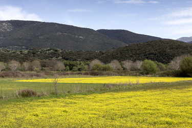 Similar image 10962243