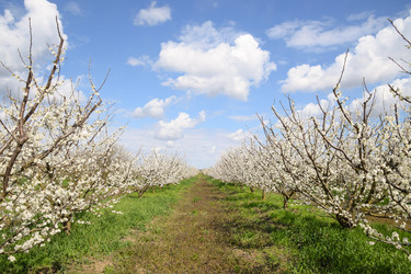 Similar image 11331793