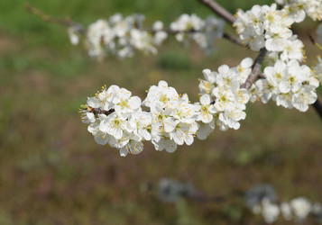 Similar image 11331795