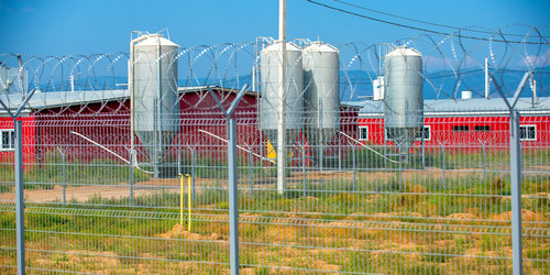 Similar image 11136237