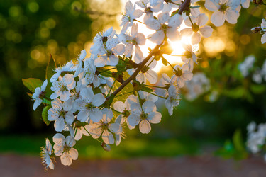 Similar image 11044909