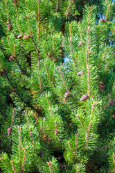 Similar image 11044915