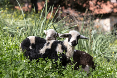 Similar image 10963458