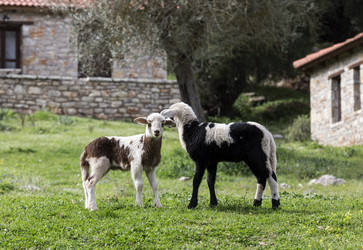 Similar image 10963460