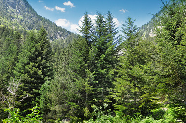 Similar image 10973871