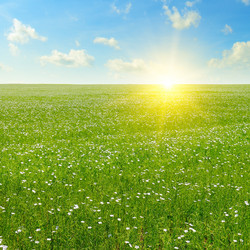 Similar image 10973874