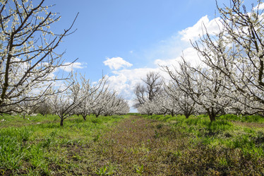 Similar image 11332639