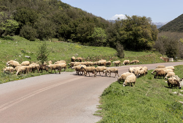 Similar image 10963461