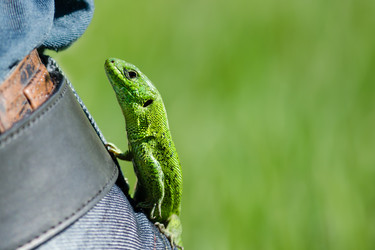 Similar image 10963473