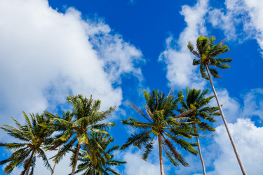 Similar image 11139036