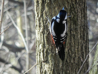 Similar image 10964340