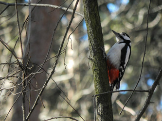 Similar image 10964341