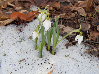 Similar image 10964222