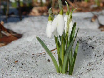 Similar image 10964257