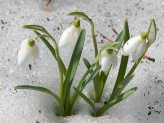 Similar image 10964258