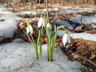 Similar image 10964260